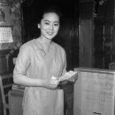 배꽃다방 이미지