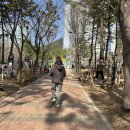 담안골근린공원 이미지