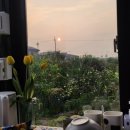 스테이포도시 이미지