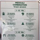 (주)멕시칼리 이미지