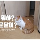 (주)펫스테이트 이미지