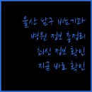 코넬비뇨기과의원 | 울산 남구 비뇨기과 병원 정보 총정리