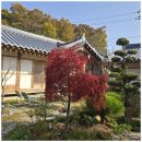 낙원화원 - 서초구 강남대로 27 | 낙원화원