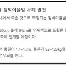 울진후포항 이미지