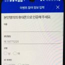 펫가
