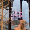 멍펜션12 이미지