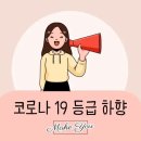 하향 이미지