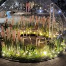 장자호수로 이미지