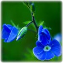 연서우체국 이미지