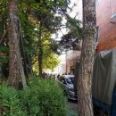 마트 애 달인 이미지