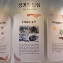 곤충생태전시관 티스토리