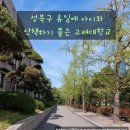 고려대학교박물관 | 성북구 휴일에 산책하기 좋은 고려대학교 후기글