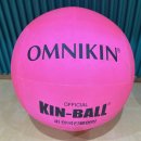 마모이룸 | [KIN-BALL/킨볼] 한국킨볼협회 공인구와 유사제품 비교