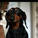 구자농장 이미지