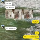 보나뻬띠브레드 이미지