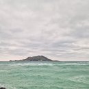 명랑수산 | 제주 겨울여행 DAY2 협재온다정/협재해변/인무드/모모쥬동물원/크리스마스마켓/명랑스낵