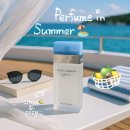 여름향수의 교과서, 돌체앤가바나 라이트블루 추천 Perfume Light Blue Eau De Toilette