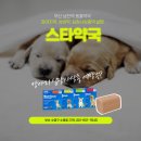 스타동물약국 이미지