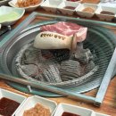 솔방울 구이 이미지