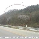 금강물류
