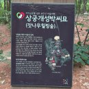 박상궁 | 초안산 산책 코스 추천｜수국동산만 보고 오면 아쉬운 서울 숲길 데이트