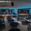 조이핏점핑&줌바스튜디오
