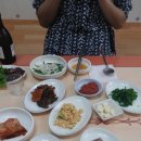 함평나비 축제후 맛집가기/함평한우 맛보기..