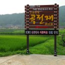 금환낙지