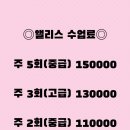 앨리스미술교습소