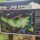 연생정 | 금지 고리봉