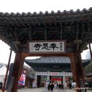 지에스25송현하늘점 | 2306 홍매화를 찾아서- 봉은사, 사월의 물고기, 창덕궁, 갈릭보이