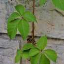 우장산공원길 이미지