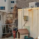 신은하반점 이미지