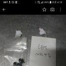 저도 목단하고 골든벨 도착했습니다 이미지