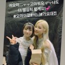 초롱스토리