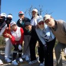 차유길 37 이미지