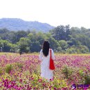 현주뷰티 이미지