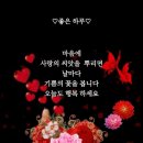 수림결혼정보 이미지