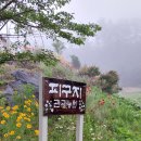 피구지관광농원