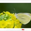 어화둥둥 - 전주시 완산구 | 어화둥둥