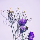 수필로 삶 쓰기 이미지