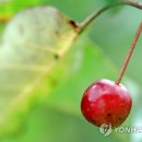 하루byH 이미지