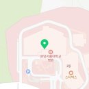 분당구미안경 이미지