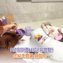 신대동물병원 | MZ엄마들 사이 유행템! ✨ 순천 신대지구 출장 손발조형물 체험기 with 가온베이비