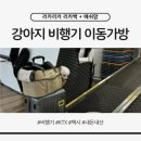 강아지 비행기 KTX 대중교통 이동가방 추천｜내돈내산 리카리카 리카백 & 메쉬망 후기