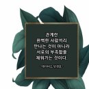 에덴민박 | 25년 8월 이야기, 3일은 버들마편초 줄기가 가늘고 길게 뻗어 힘 없이 보여도 바람에 잘 쓰러지지...