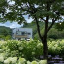 (주)프레이밍 이미지