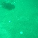 프렌드샾 이미지