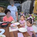 소백산해일루한옥펜션 | 25.6.6.~8 영월 별바라기펜션, 단양 소백산해일루한옥펜션(feat.바퀴벌레 )