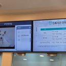 강아지 이물질 삼킴 수술 후기｜강아지 개복수술 비용 (동탄 이음 동물 병원)
